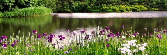 Das Unternehmen Ebeling Immobilien